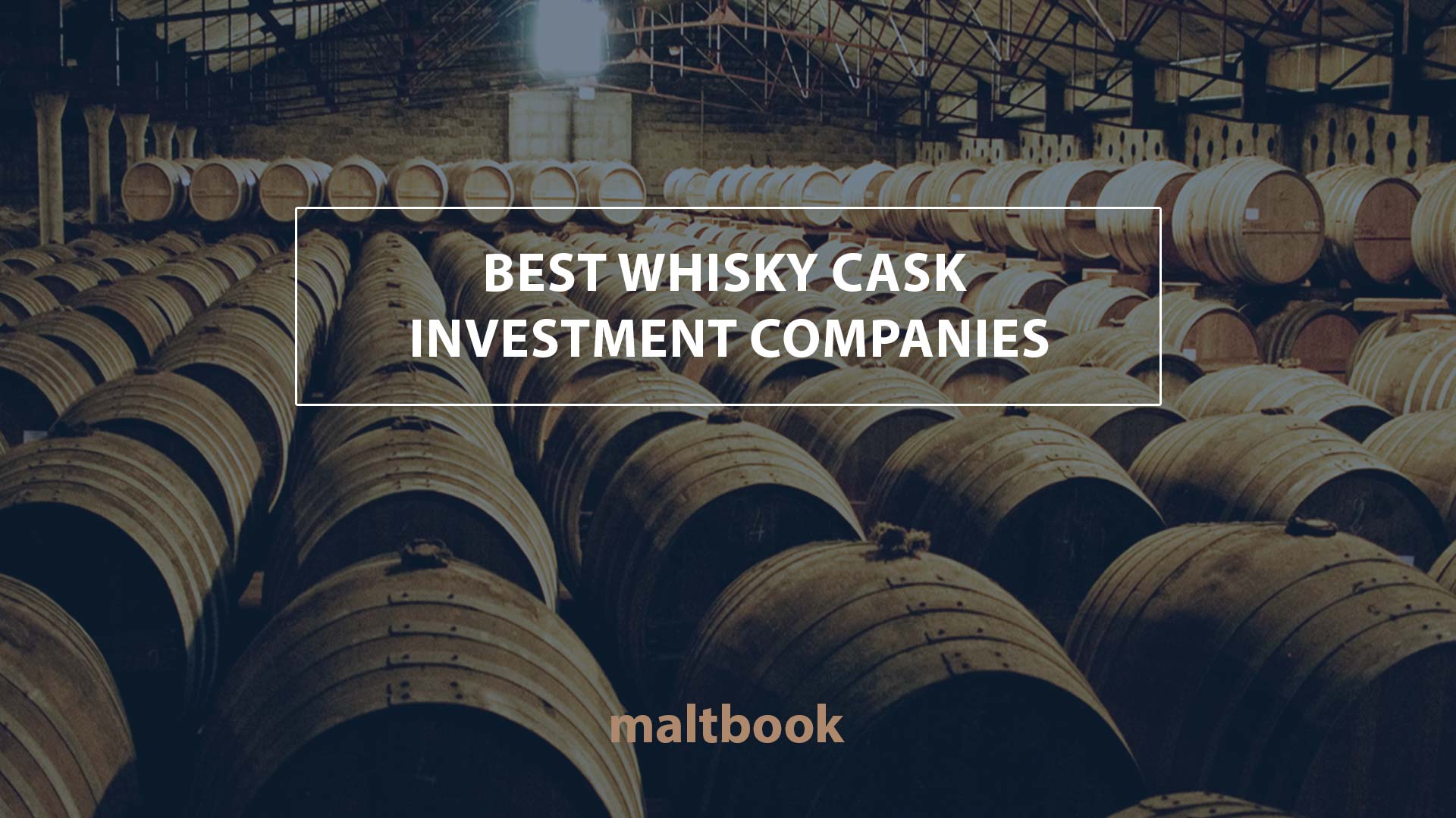 best whisky cask investment companies