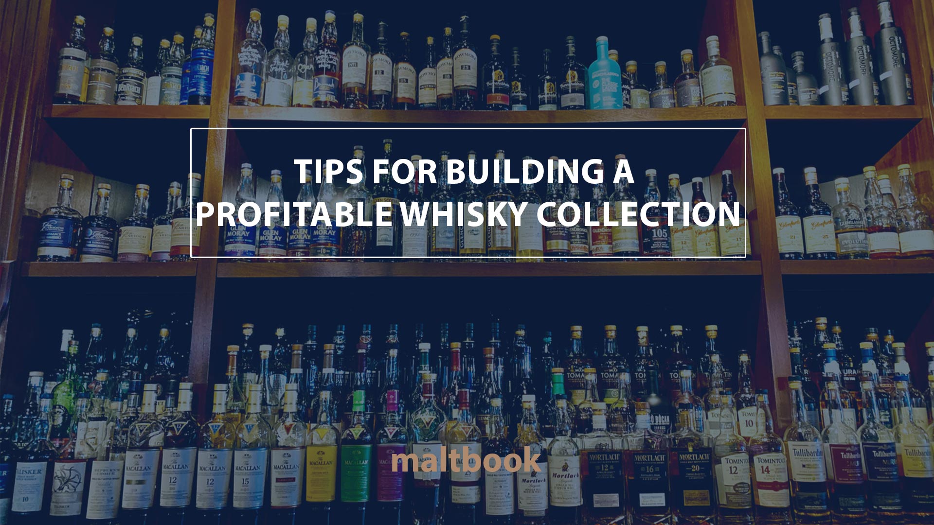 building a profitable whisky collection
