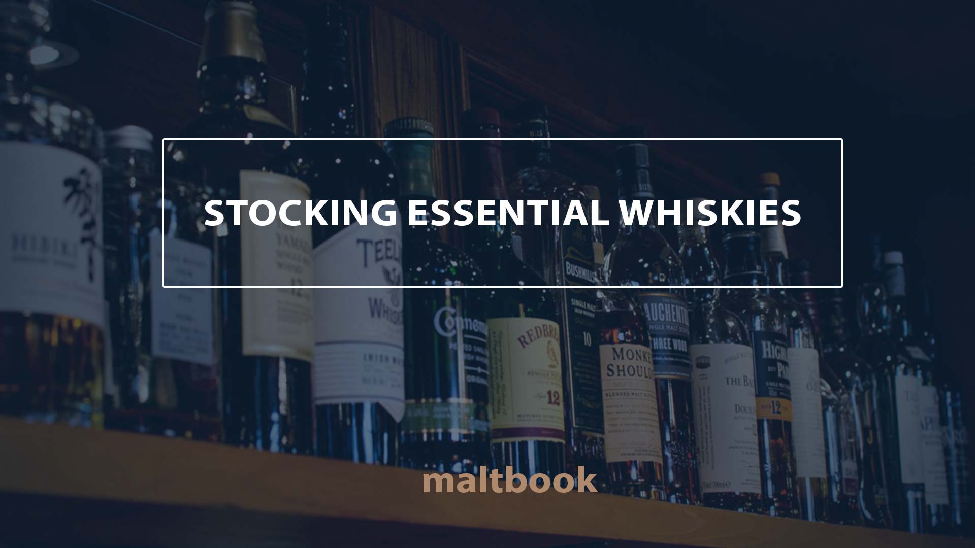 essential whiskies stocking