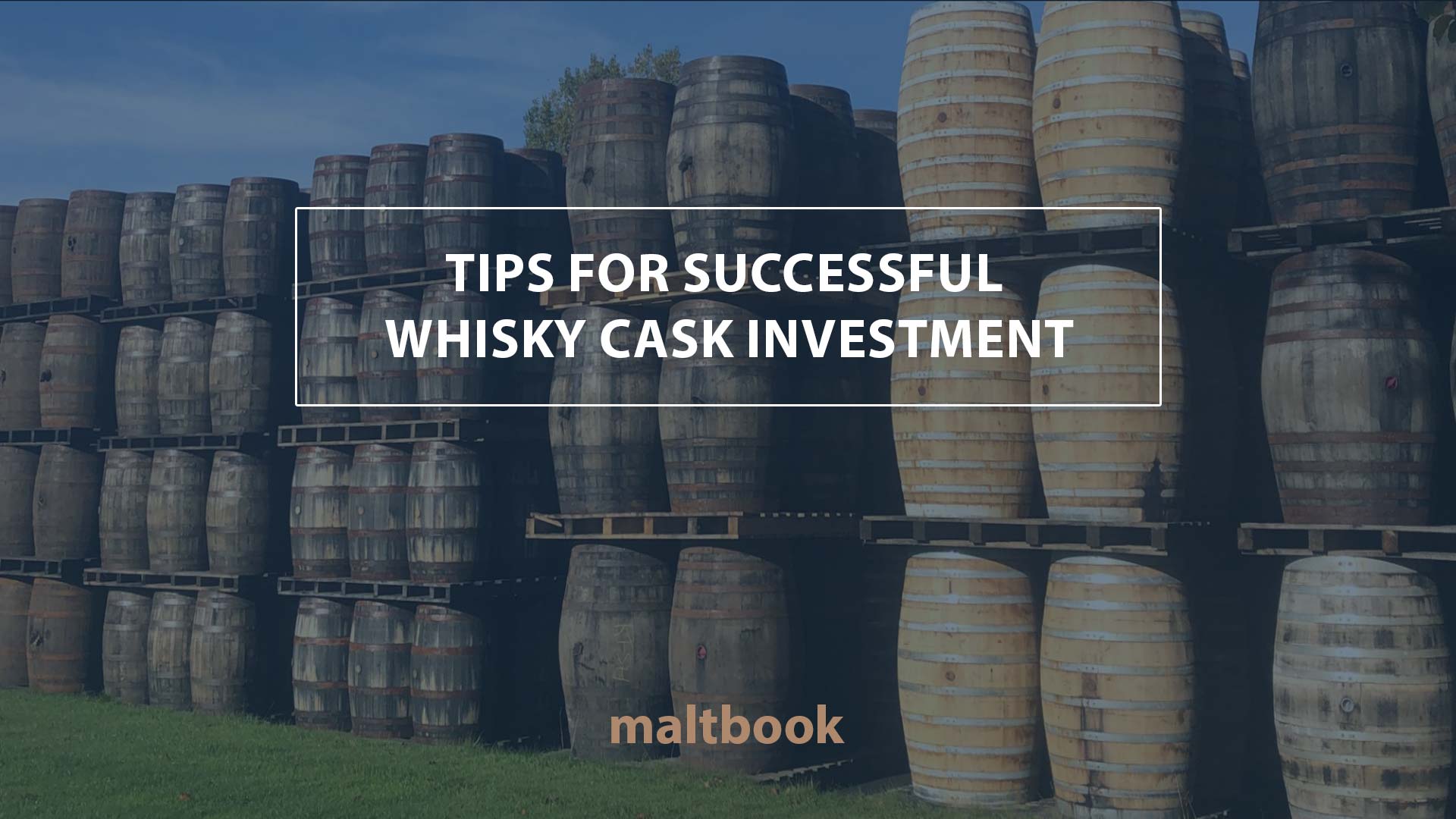tips for successful whisky cask investment
